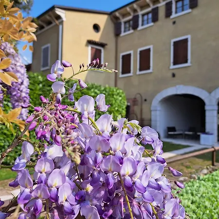 Corte Violeti Il Brolo Apartamento