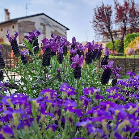 Corte Violeti Il Brolo * Pescantina